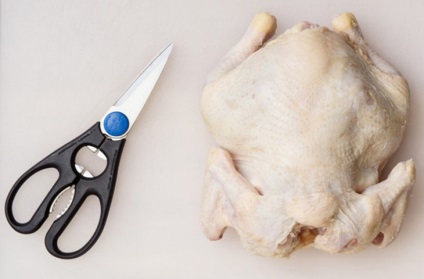 Hogyan lehet csökkenteni a csirke ollóval