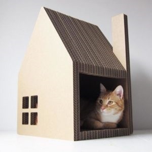 Hogyan készítsünk egy házat a macska a saját kezében van, és hogy ennek szükségességét
