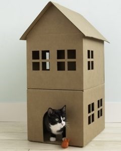 Hogyan készítsünk egy házat a macska a saját kezében van, és hogy ennek szükségességét
