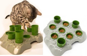 Hogyan készítsünk egy játék macskáknak saját kezűleg - olcsó és egyszerű étel puzzle