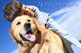 Canistherapy vagy kezelés kutyák