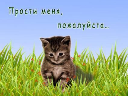 Képek a szavakkal Sajnálom (sajnálom) Képek a szavakkal sajnálom