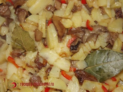 Burgonya gombával opyatmi Multivac - fénykép recept