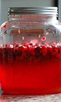 Cranberry vodka recept tinktúrák