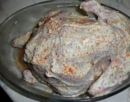 Chicken tészta a sütőben - lépésről lépésre recept fotók