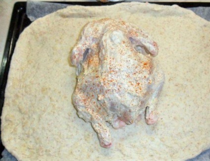 Chicken tészta a sütőben - lépésről lépésre recept fotók