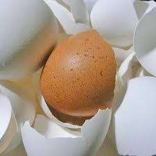 Allergia kezelés tojáshéj főzés szívesen és tanácsot kezelés