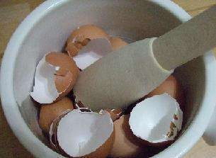 Allergia kezelés tojáshéj főzés szívesen és tanácsot kezelés