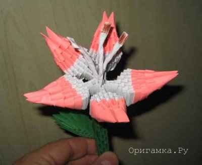 Moduláris origami Lily mester osztály 1