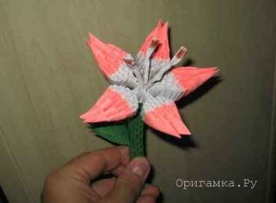 Moduláris origami Lily mester osztály 1