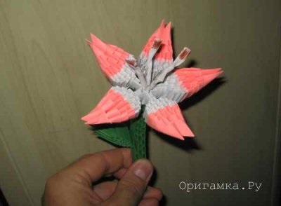 Moduláris origami liliom mesterkurzust