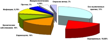 Férfi meddőség kezelésére népi jogorvoslati (receptek)