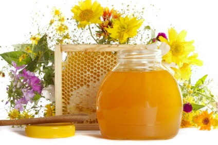 Folk Gyógyszerek a görcsös vastagbélgyulladás, a kezelés a gyógynövények és a méz