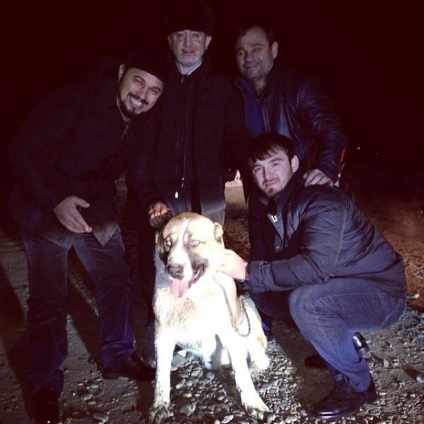 Találtam egy kutyája, Ramzan Kadyrov - blogok