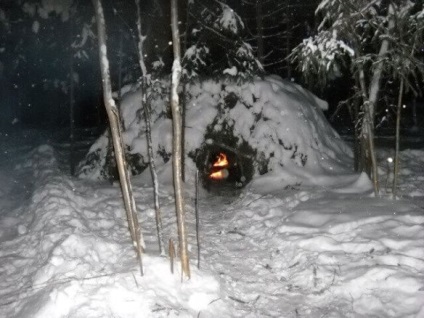 Egy éjszakán át a téli erdőben, a túlélés titkai agresszív környezetben