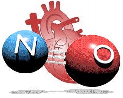 Nitrogén-oxid, vagy egyáltalán nem, vagy azotnik vagy donator nitrogén azaz kalória - sporttáplálkozás üzlet