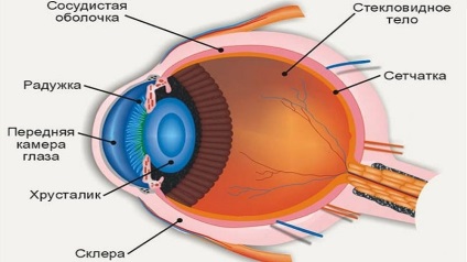 A diabétesz szemészeti szövődményeiről