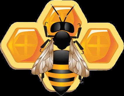 Méhek és a méz - összegyűjtése és termelési