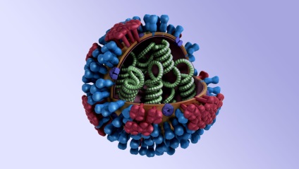Miért van az éves influenza járvány fenyeget, cmt tudományos megközelítés