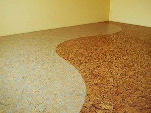Parafa padló típusok előnyeit és hátrányait, telepítése, karbantartása funkciók, vélemények