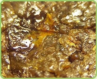 A propolisz ha aranyér - természetes gyógymódok őseinktől