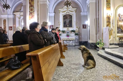 Üres-e az ortodox egyház egy vakvezető kutyát