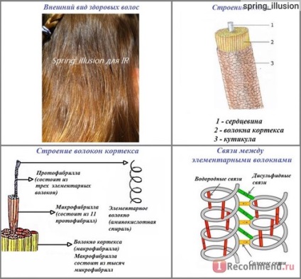 Salon kezelés szőr a Keraterm Kerastase - «Keraterm származó Kerastase - egyedülálló