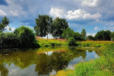 A leginkább környezetbarát kerület moszkvai régióban - lapos, mint élőhely