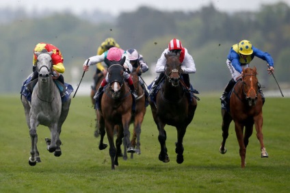 Royal Ascot lóverseny érdekes tény az éves esemény, Tatler hősök, Tatler - Journal of the (királyi) Royal Ascot lóverseny érdekes tény az éves esemény, Tatler hősök, Tatler - magazin