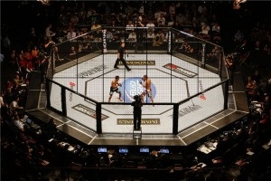 Vegyes harci mma, sport és egészség (sport) Vegyes harci mma, a sport és az egészség