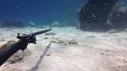 Tippek a választott fegyver víz alatti vadászatra