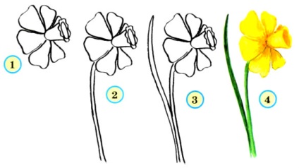 Reakcióvázlat színes rajz (pitypang, kamilla, búzavirág, hóvirág, tulipán, nárcisz) (pitypang) Színes rajz áramkörök (pitypang, kamilla, búzavirág, hóvirág, tulipán, nárcisz)
