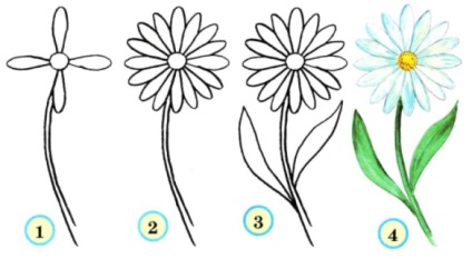 Reakcióvázlat színes rajz (pitypang, kamilla, búzavirág, hóvirág, tulipán, nárcisz) (hóvirág) Színes rajz áramkörök (pitypang, kamilla, búzavirág, hóvirág, tulipán, nárcisz)