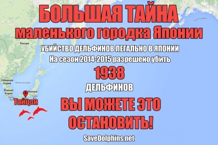 A gyilkos a delfinek Japánban - társadalmi mozgalom - megtakarítás delfinek (Japán) A gyilkos a delfinek Japánban - társadalmi mozgalom - megtakarítás delfinek