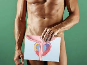 Ultrahang a herék a férfiak akárcsak az ultrahang a férfi nemi szervek