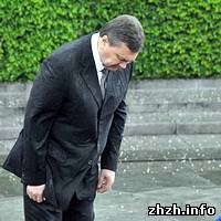 Koszorú Janukovics ismeretlen katona szögezve