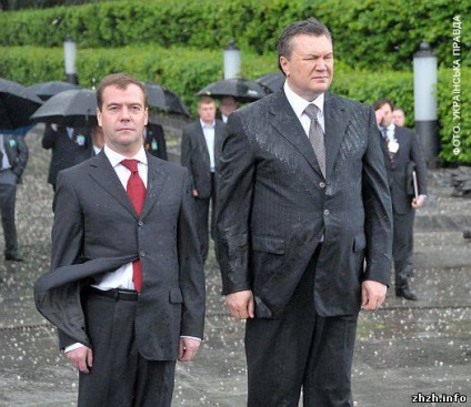 Koszorú Janukovics ismeretlen katona szögezve