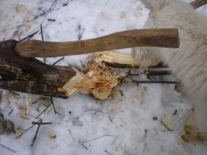 Ágak és a kecskék, valamint a Gävle kecske és többet kecske (kecske) Ágak és kecske, valamint a Gävle kecske és többet kecske