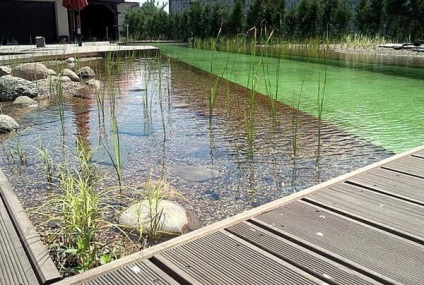 Típusú mesterséges tavak a külvárosi területen Dekoratív kerti forrásokból