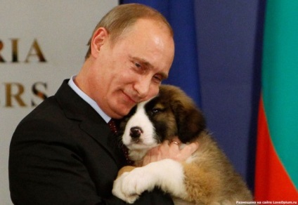 Vladimir Putin életrajz, fotók, Wikipedia, kor, gyerekek, feleség