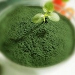 spirulina alga