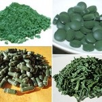 spirulina alga