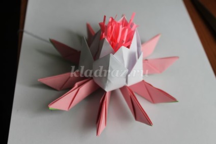 Eedmace origami art