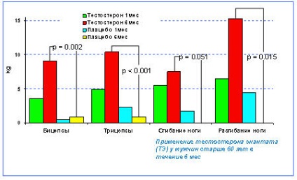 A hormonpótló terápia andropauzával - tanácsadás a potenciális