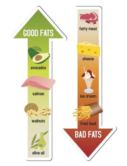 A zsírok az előnyöket és a hátrányokat