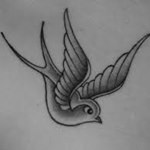 Jelentés madarak tetoválás