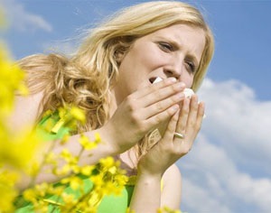 Az allergia a méh vagy a pollen (szénanátha) fák és növények a tünetek és a kezelés