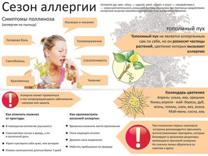 Allergiás a szemhéjon szemét - okai, tünetei és kezelése, kenőcs allergiától