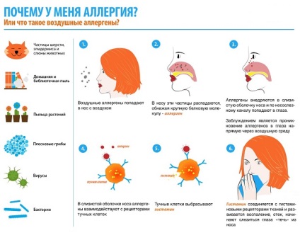 Allergiás a szemhéjon szemét - okai, tünetei és kezelése, kenőcs allergiától