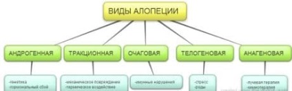 Алопеція у жінок симптоми і лікування жіночого облисіння